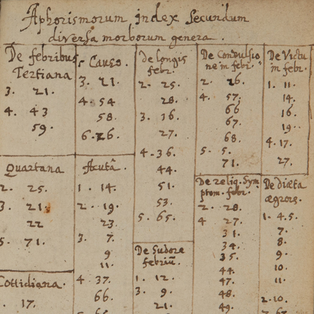 Nærbilde av håndskrevne notater i antikk bok